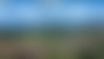 Pacific Bay pretende implantar projeto Pereira Velho, em Alagoas