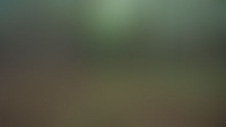 Pesquisa estuda folha da Amazônia para substituição do mercúrio na extração de ouro