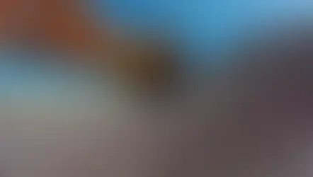 Mineração ajuda Brasil a alcançar recorde de exportações à China