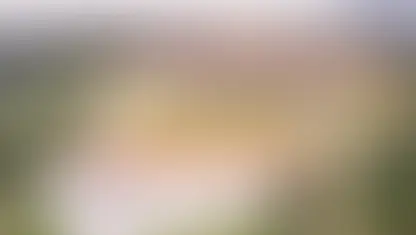 Barragem da Vale em Mariana sai do nível de emergência