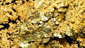 Serviço Geológico do Brasil realizará leilão de ativos de ouro, diamante e caulim em 27 de Novembro