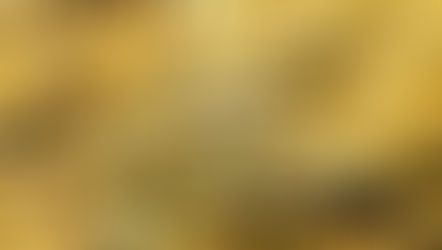 Serviço Geológico do Brasil realizará leilão de ativos de ouro, diamante e caulim em 27 de Novembro