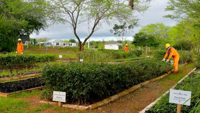 Equinox Gold conclui inventário de carbono e traça metas ambientais