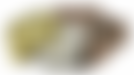 Ouro e Cobre: Vem mais um rally do ouro por aí?