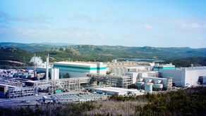 Tesla assina acordo com Vale para fornecimento de níquel, diz Bloomberg