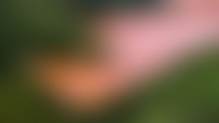 Mineradoras têm até julho para se adaptarem ao protocolo internacional de gestão de rejeitos