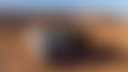 Rio Tinto e Scania firmam acordo na Austrália