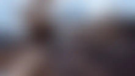 BNDES e Vale poderão aportar até R$ 500 milhões em fundo para mineração