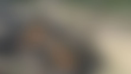 Lipari canadense planeja investir US$ 10 milhões na 1ª mina subterrânea de diamantes no País