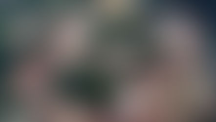 Estudo global mostra impacto da mineração no desmatamento de florestas