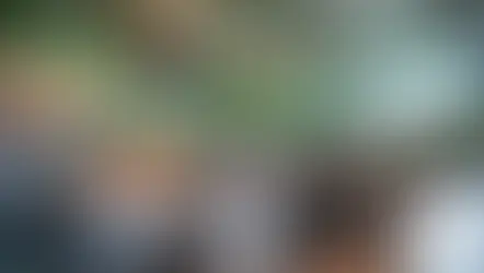 Usiminas registra prejuízo de R$ 100 milhões no 2T24