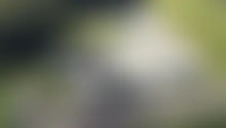 Komatsu anuncia nova unidade em Contagem (MG) com investimento de R$ 120 milhões