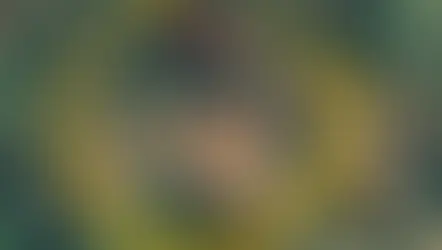 St. George conclui aquisição do Projeto Araxá