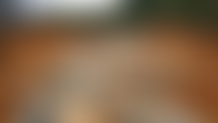 Câmara dos Deputados aprova R$ 1 bi para combate a extração ilegal