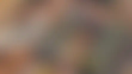 Ero Copper atinge 70% de conclusão no Projeto Tucumã e deve produzir em 2024