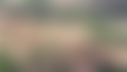 Meteoric Resources irá investir R$ 1 bilhão na extração de terras raras e produção de argila iônica