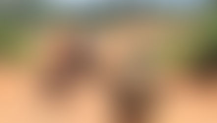 Mais de 500 empresas, incluindo nove gigantes do setor, têm pedidos de mineração em áreas indígenas,