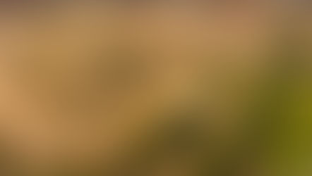 Metso entregará pacote de forno e resfriador para fábrica de fertilizantes da Galvani na Bahia