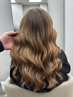 Light brown long hair Fine to Fabulous Salon .png