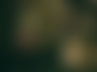 "Weil alles einen Knacks hat!"