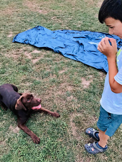 aw291972875_495992125634611_5816128406188221679_n (1).jpg