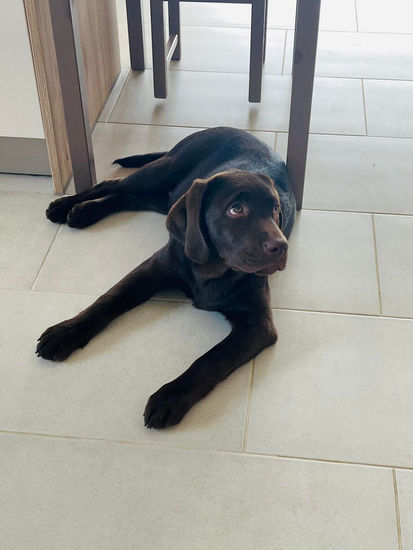 aw274322182_468506308076252_8816758892170697113_n (1).jpg