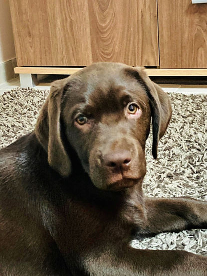 aw272071296_263022269299881_6375455619439029252_n (1).jpg