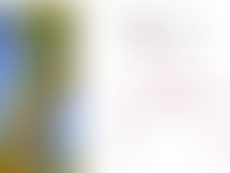 Sovereign Green Bonds: Financing a Sustainable Future