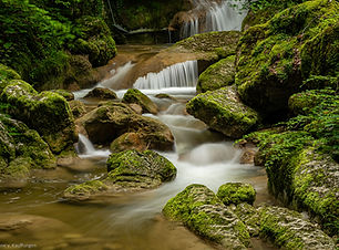 _WS67538.jpg
