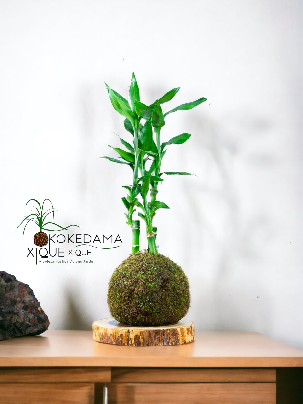 Bambu Da Sorte Musgo 