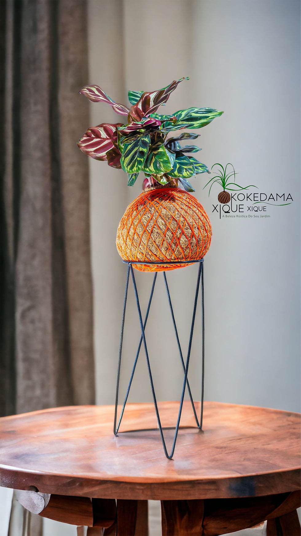 Miniatura: Kokedama Maranta Pavão
