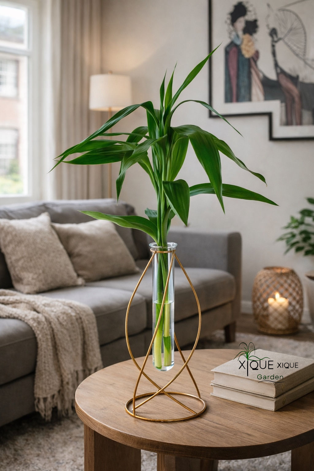 Bambu da Sorte- Design Orkaan