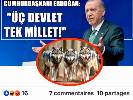 En visite dans une Stepanakert (Haut-Karabagh) vidée par la force de sa population arménienne, Erdogan déclare que l'Azerbaïdjan, la Turquie et le Pakistan sont "3 Etats, 1 nation"
