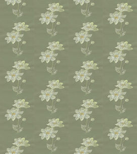 white chrysanths12.jpg