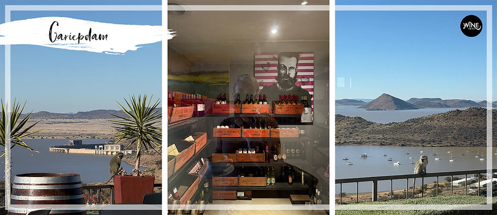 Scenic view of Gariep Dam with mountains. A monkey sits on a railing. Inside de Stijl hotel, wine bottles are displayed on wooden shelves.