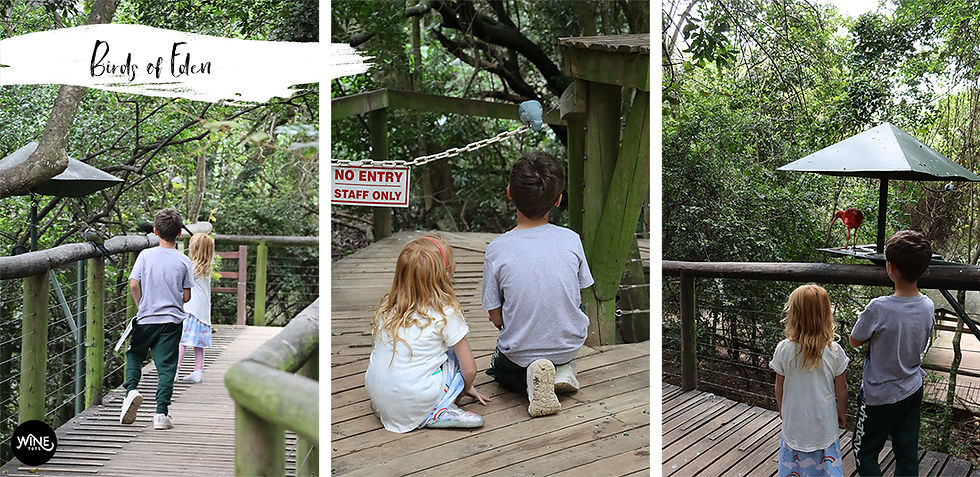 Two children on a wooden path in a lush forest, watching a bird. A "No Entry" sign is visible. The mood is curious and adventurous.