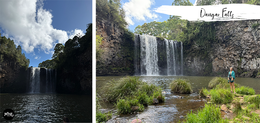 Two images of Dangar Falls; one shows the waterfall under a blue sky, another features a person standing on grass near the falls.