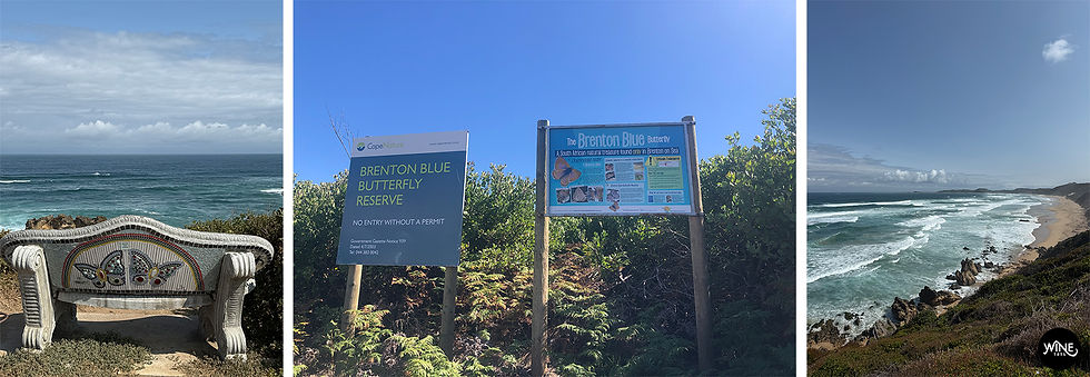 Three-panel coastal collage: mosaic bench by the sea, Brenton Blue Butterfly Reserve signs, and a rocky beach with waves.