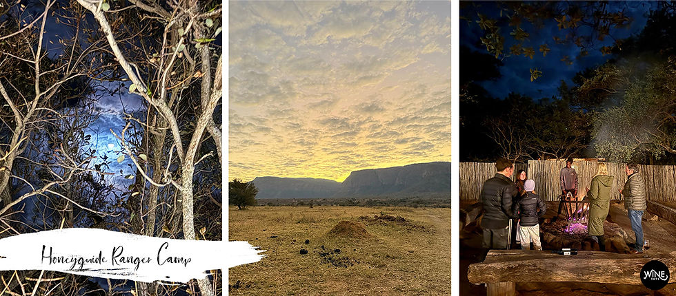 Three-part image: moonlit trees at night, a savanna sunset with mountains, and people around a campfire under a starry sky. Text: Honeyguide Ranger Camp. A family safari through Limpopo & Mpumalanga nature reserves