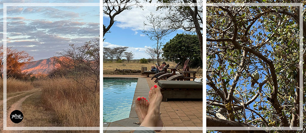 Scenic triptych: left shows sunset over hills and dry grass, center has feet by pool with people relaxing nearby, right is tree branches. A family safari through Limpopo & Mpumalanga nature reserves