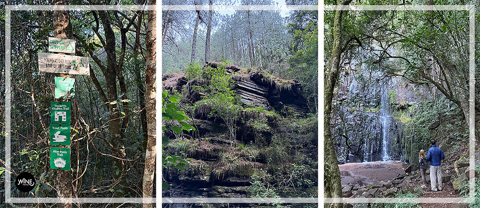 Sign with hiking directions in a wooded area; a mossy rock formation surrounded by trees; two people watching a forest waterfall. A family getaway to Mount Sheba