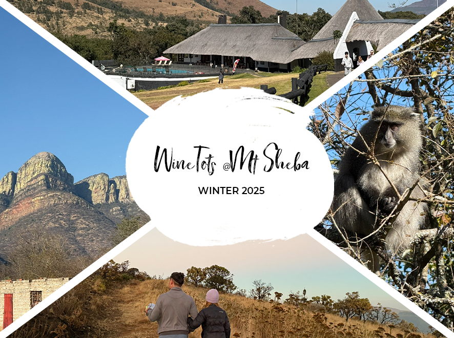 Mountains, lodge, and a monkey in split image. "WineTots @ Mt Sheba, Winter 2025" in center. People walking on path below scenic view. A family getaway to Mount Sheba