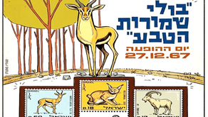 פינת הנוסטלגיה שלי - בול לפוני