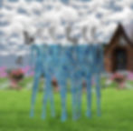 View recent photos 2.jpeg