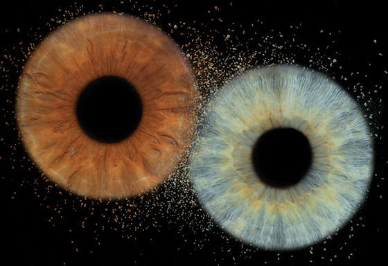 eye photography artist