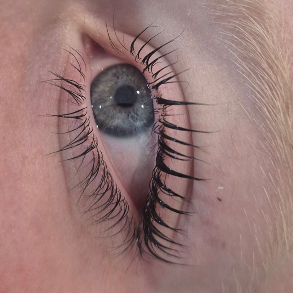 LVL Lash LIft