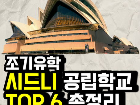 시드시 공립학교 6대장 총정리! 내 아이에 맞는 초등학교 발견!