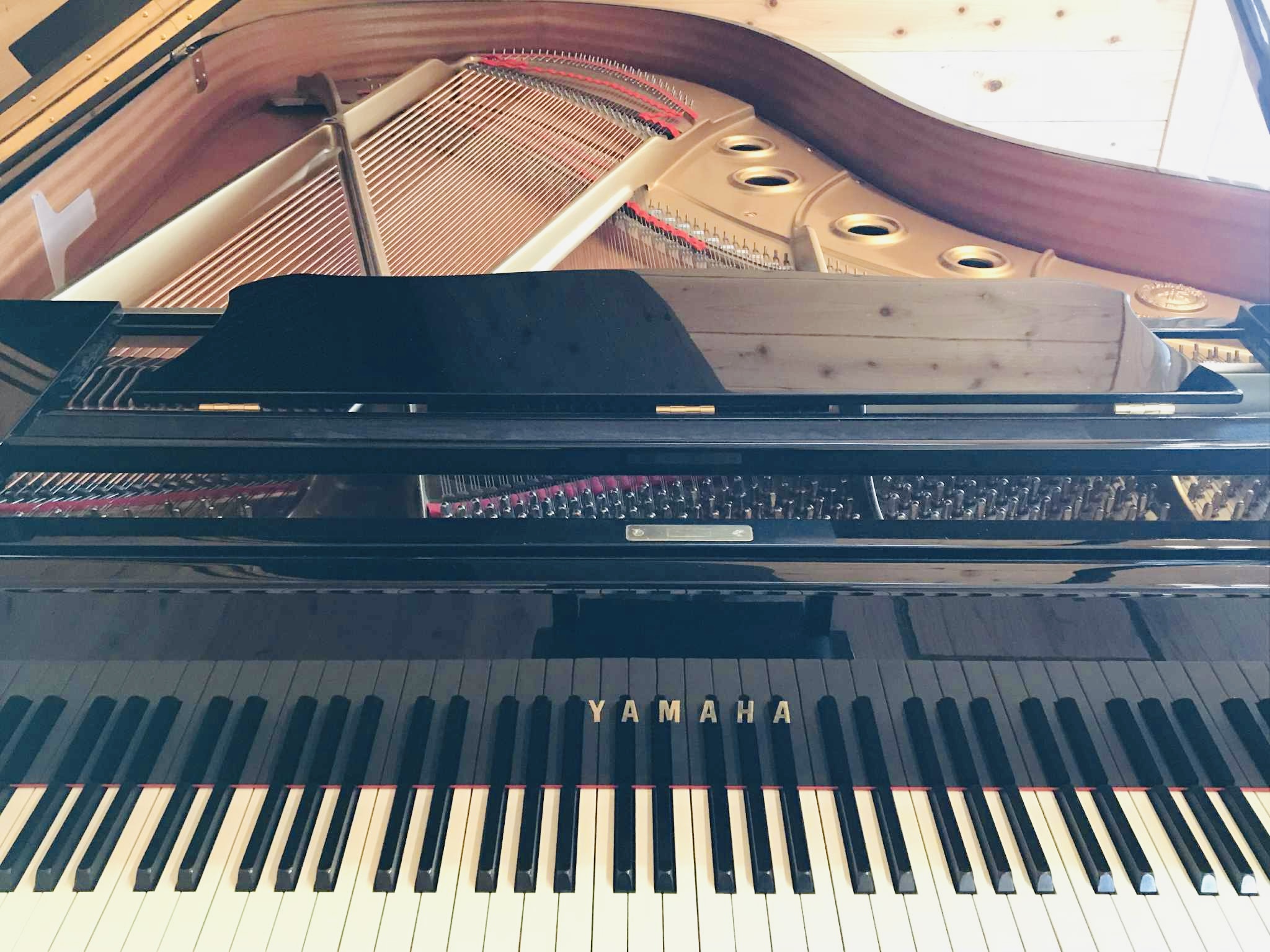 高橋和毅 - IMG_6725.jpeg