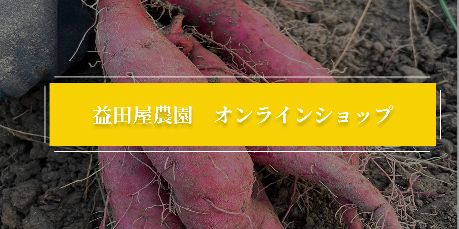 画像：オンラインショップのバナー