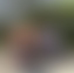 06/04/26 Bloesemrun te Zepperen